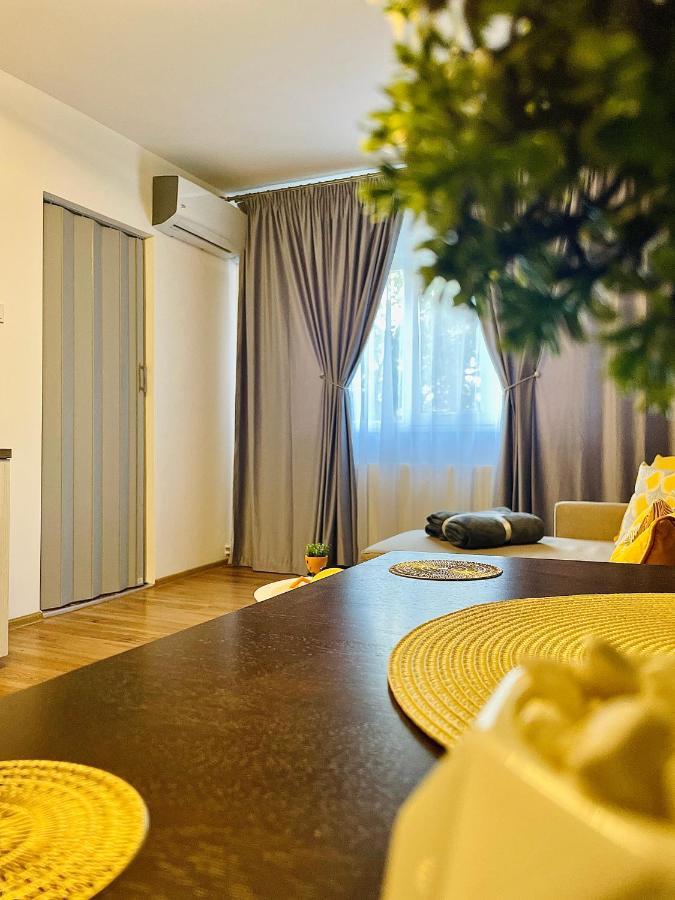 S&S Apartment Studio At Ground Floor Timisoara Town !!! Parcare La Locatie !! Dış mekan fotoğraf