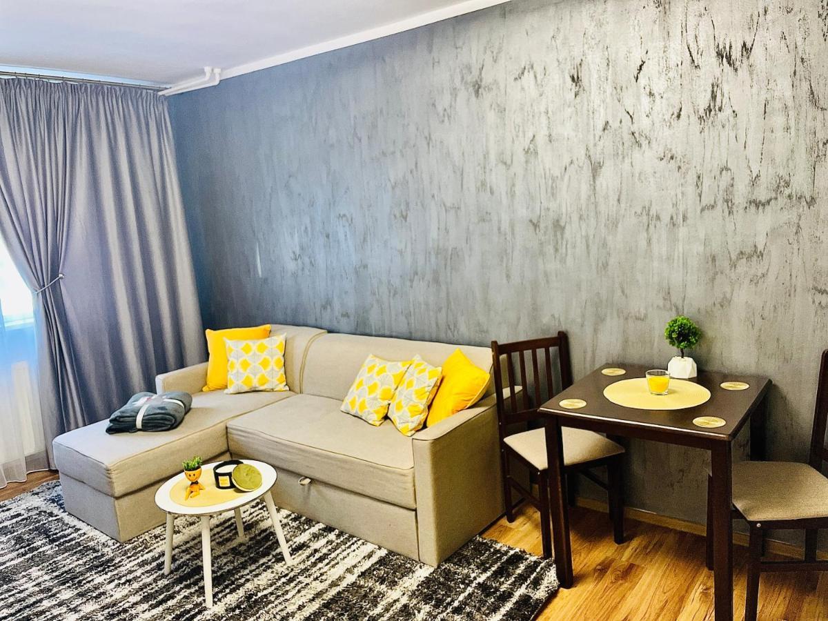 S&S Apartment Studio At Ground Floor Timisoara Town !!! Parcare La Locatie !! Dış mekan fotoğraf
