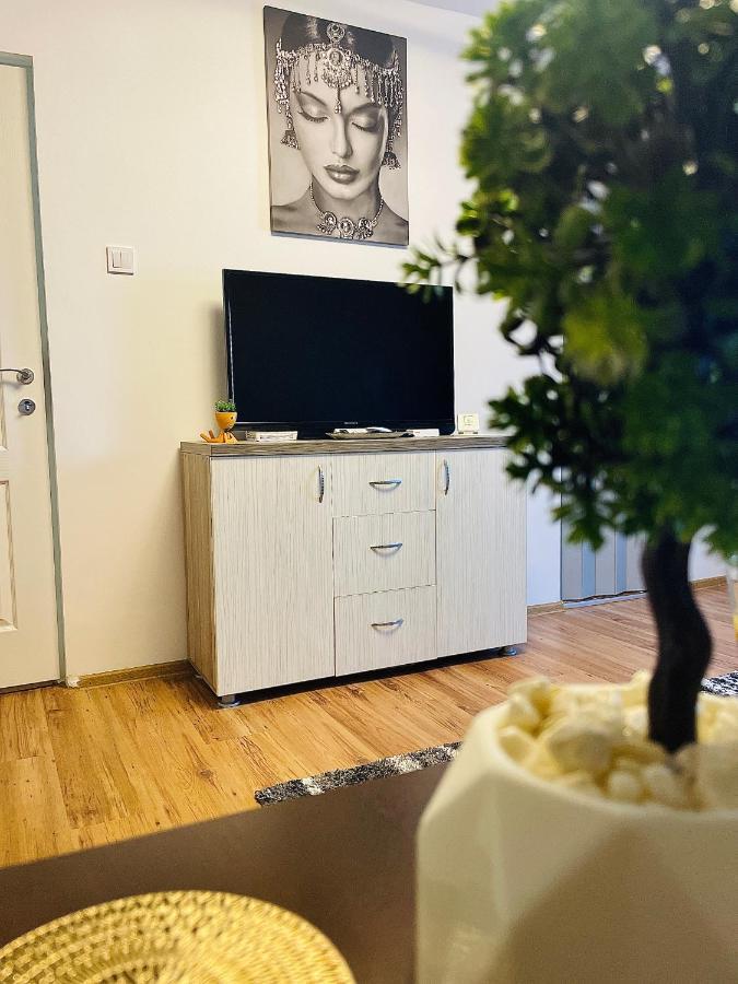 S&S Apartment Studio At Ground Floor Timisoara Town !!! Parcare La Locatie !! Dış mekan fotoğraf