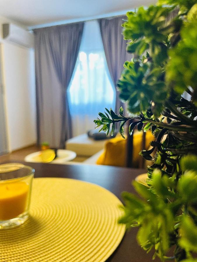 S&S Apartment Studio At Ground Floor Timisoara Town !!! Parcare La Locatie !! Dış mekan fotoğraf